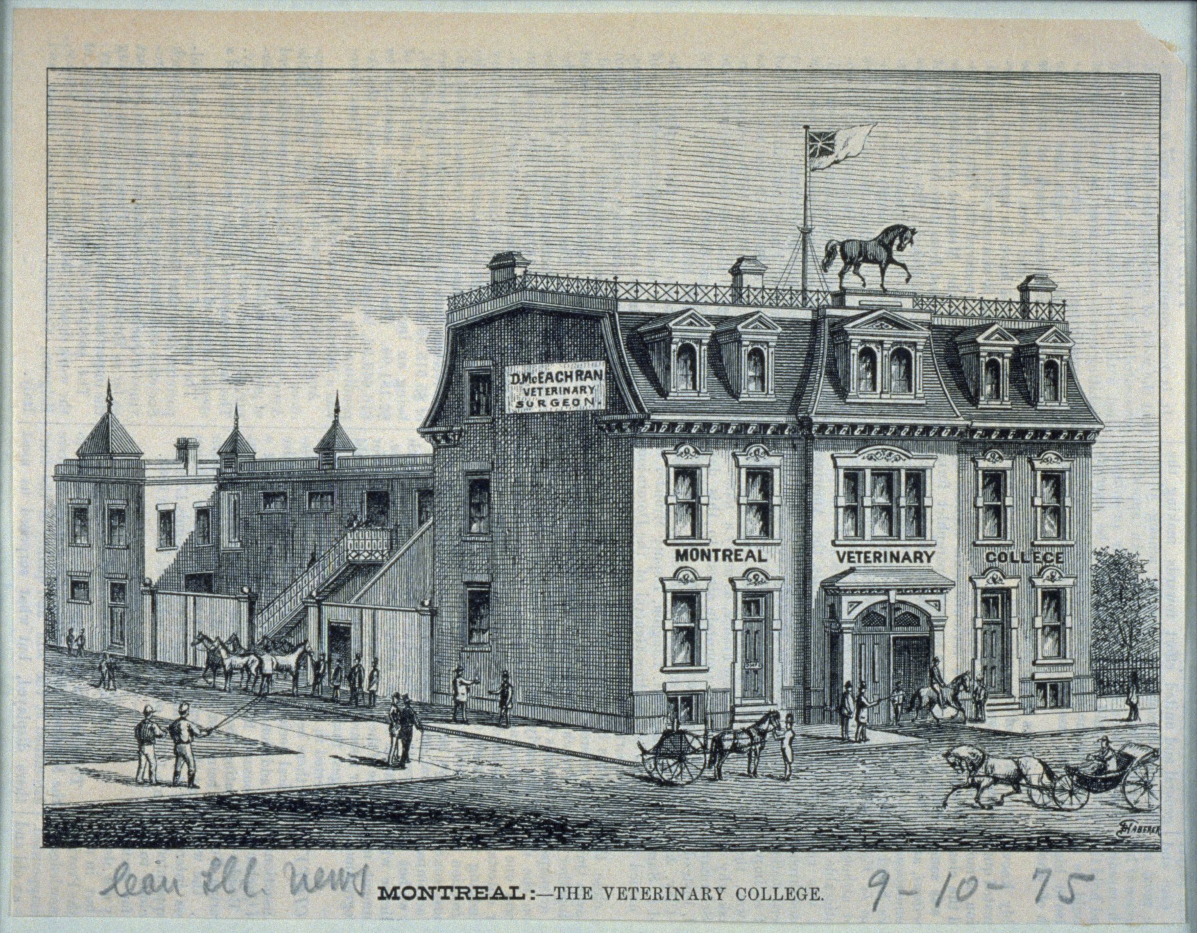 Gravure du collège vétérinaire de Montréal