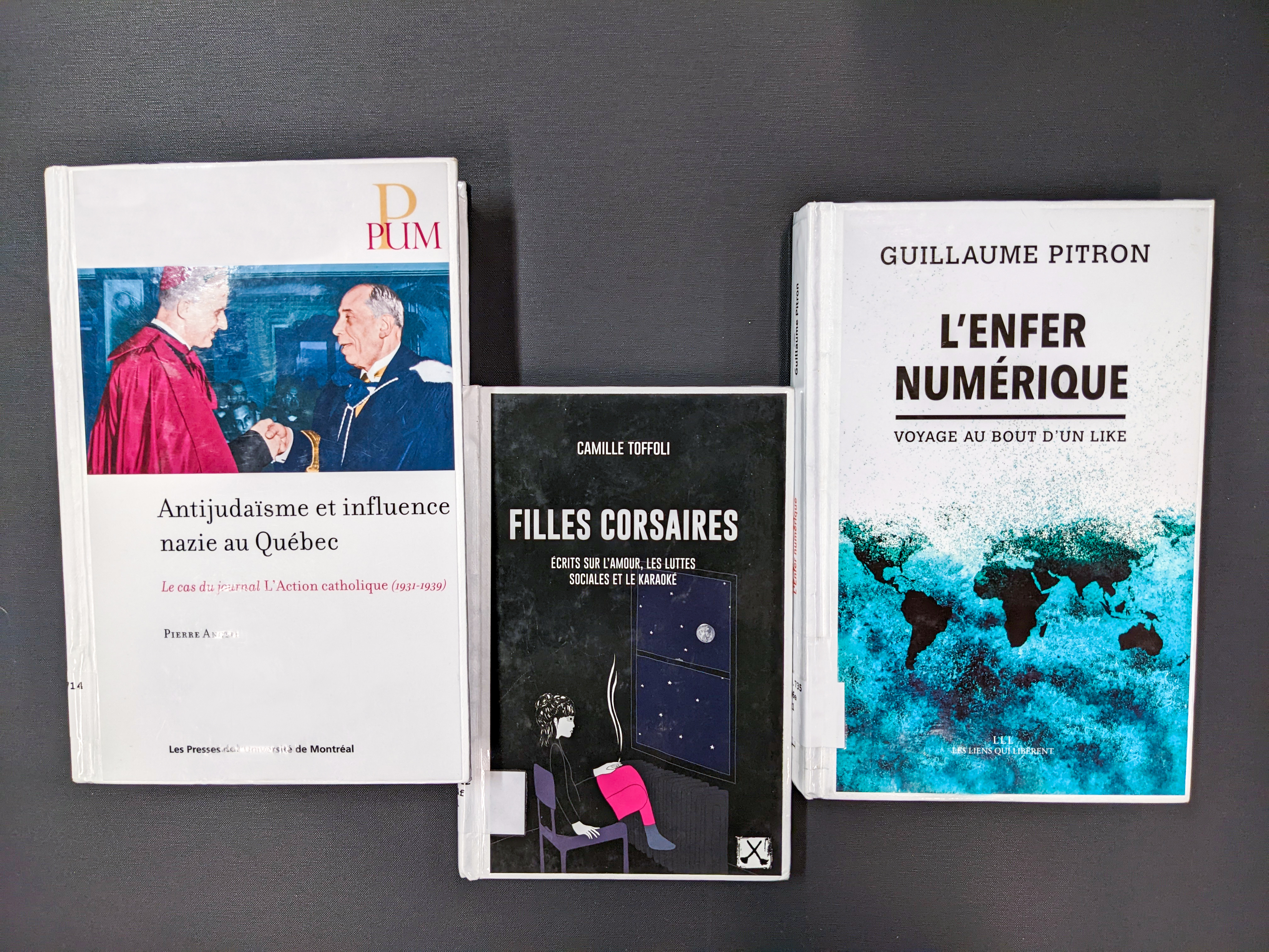Les livres «Antijudaïsme et influence nazie au Québec», «Filles corsaires» et «L'enfer numérique».