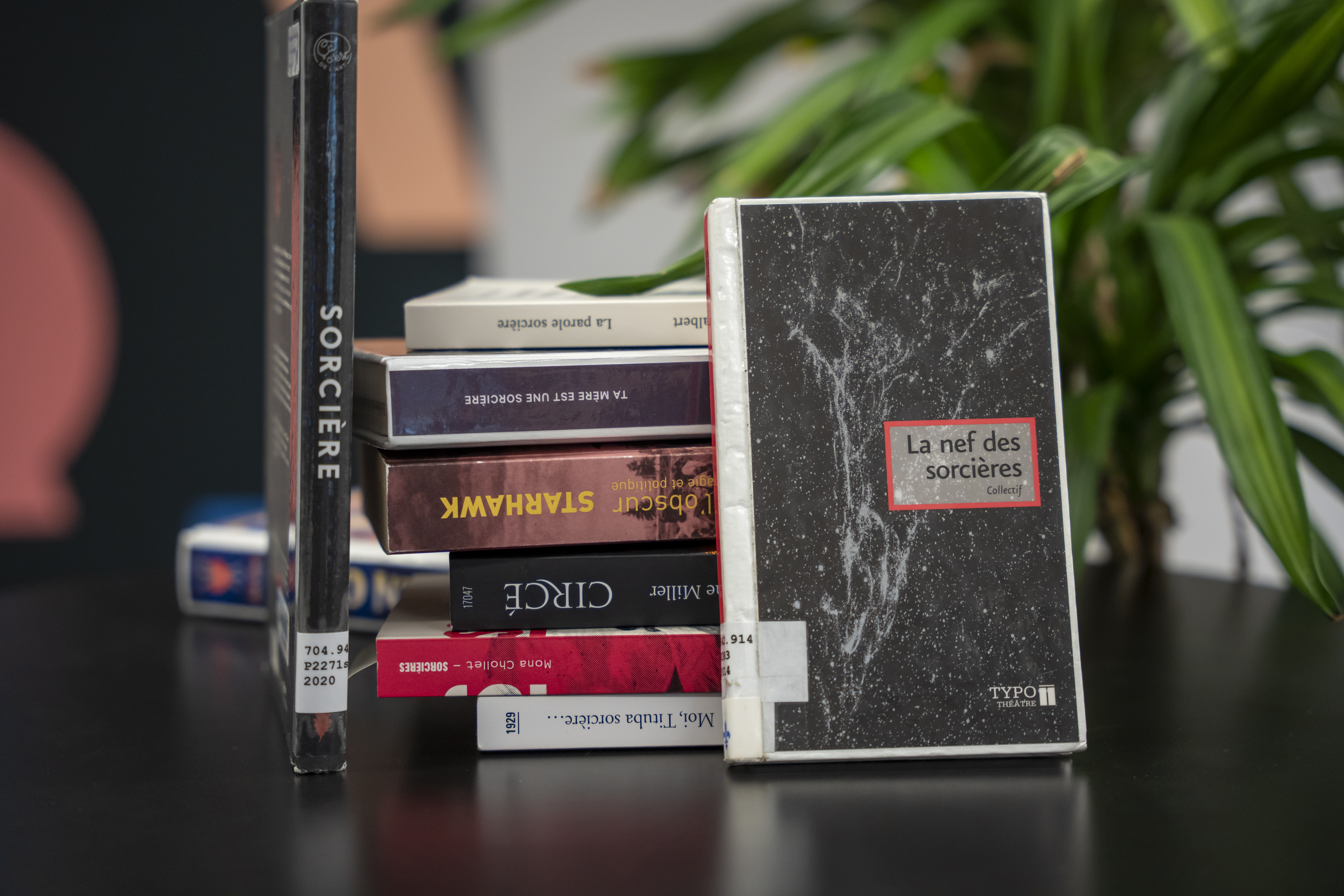 Livres, dont La nef des sorcières