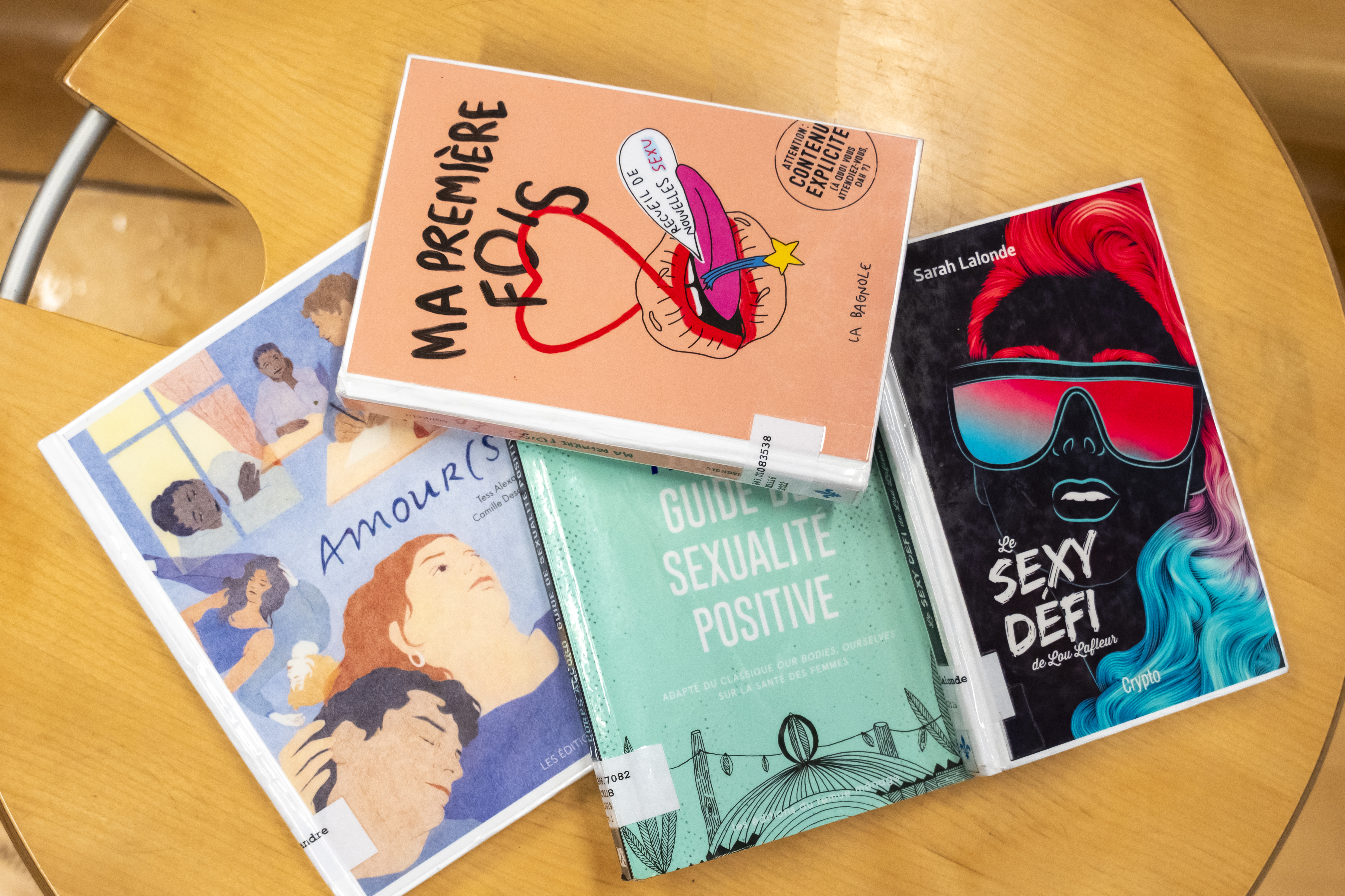 Les livres « Ma première fois », « Amours », « Corps accords » et « Le sexy défi de Lou Lafleur ».