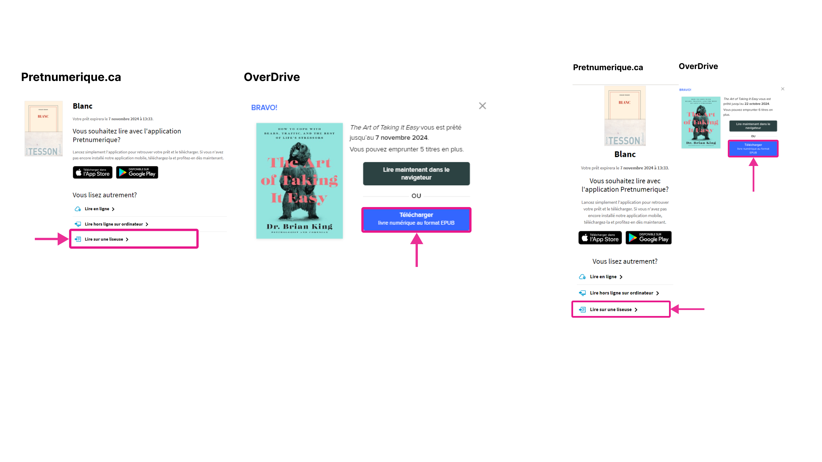 Option de téléchargement d’un livre sur les plateformes Pretnumerique.ca et OverDrive