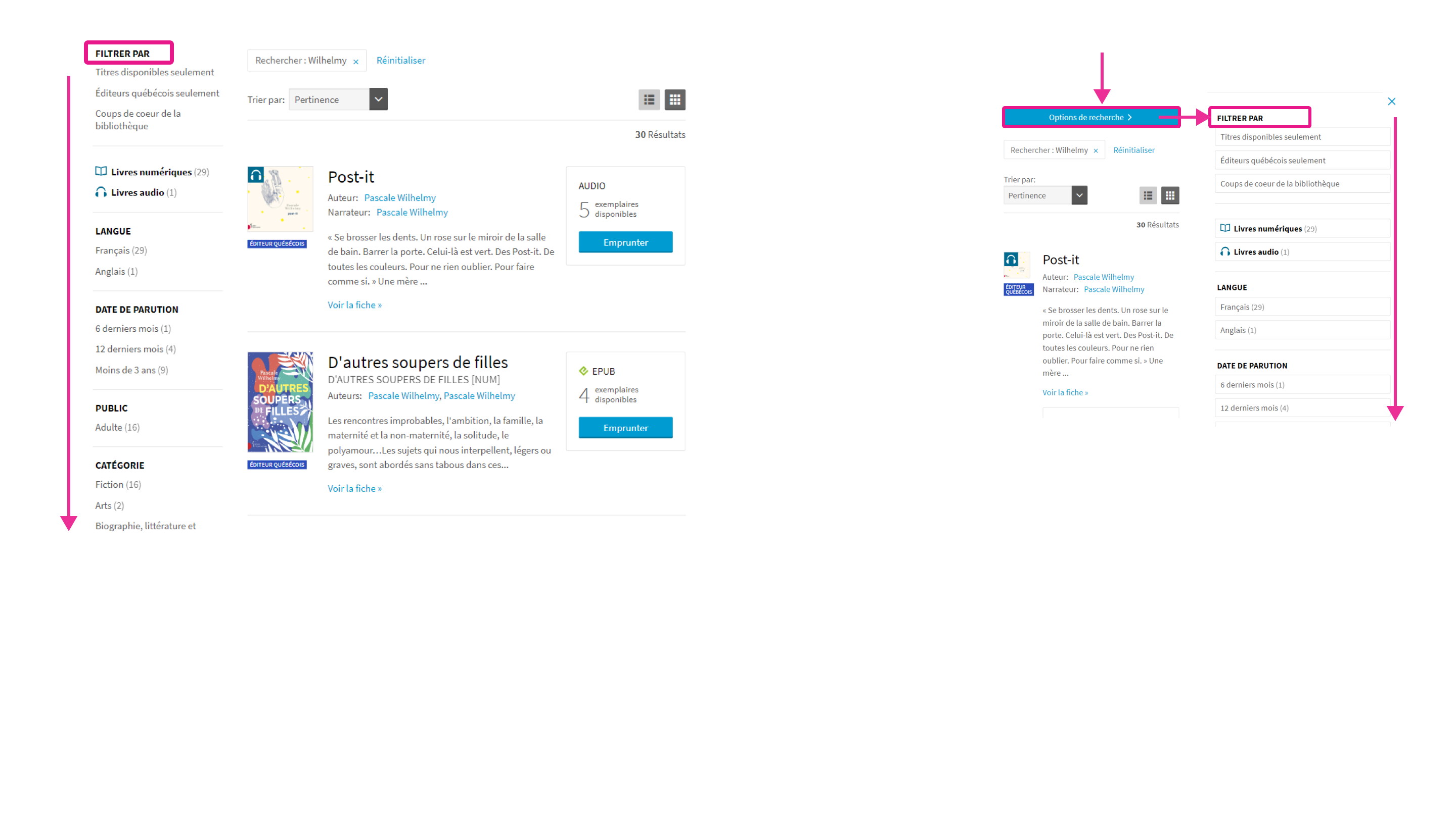 Filtres de recherche offerts sur la plateforme Pretnumerique.ca