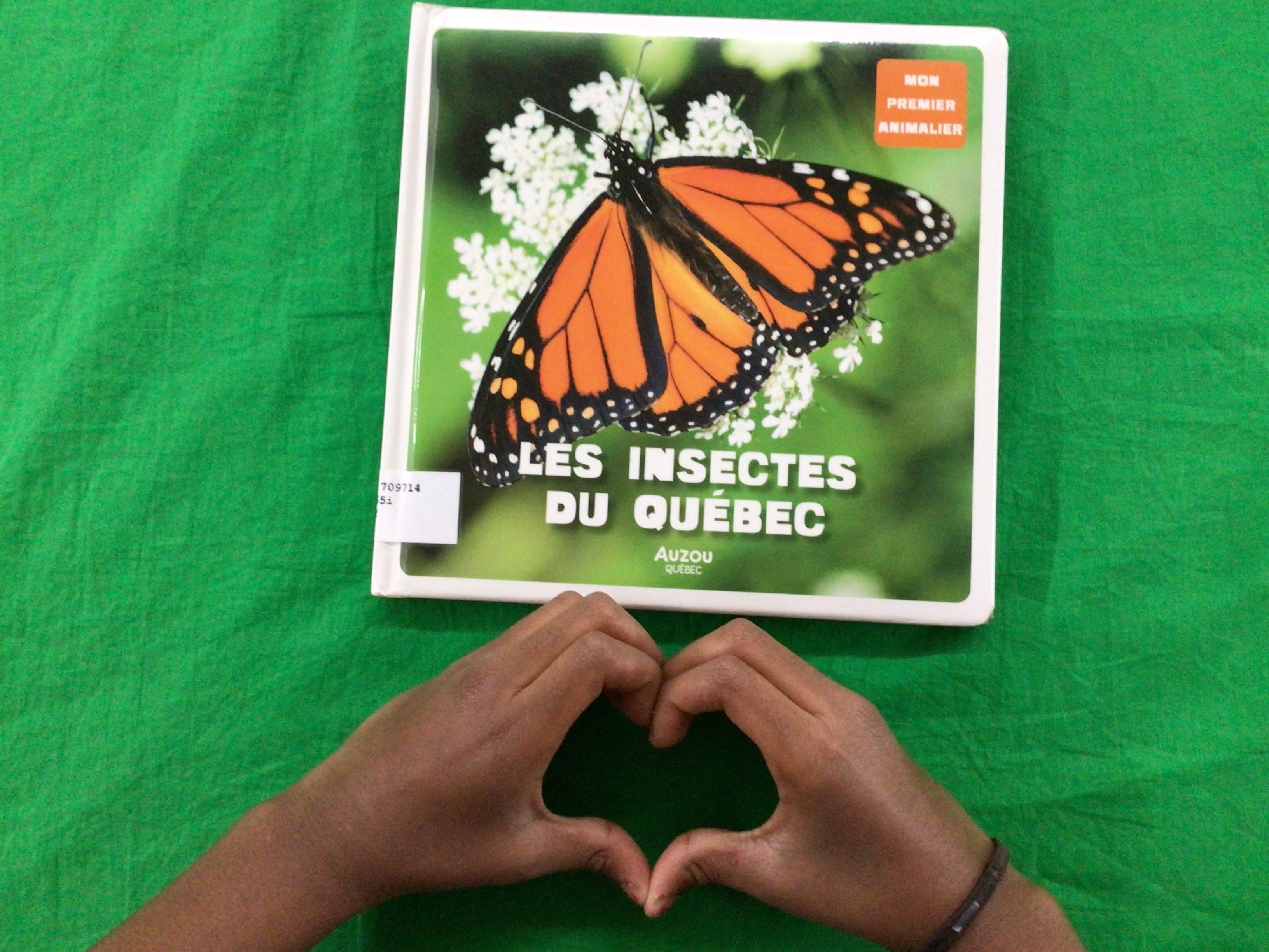 Deux mains d'enfant tiennent le livre "Les insectes du Québec" au-dessus d'un rideau vert.