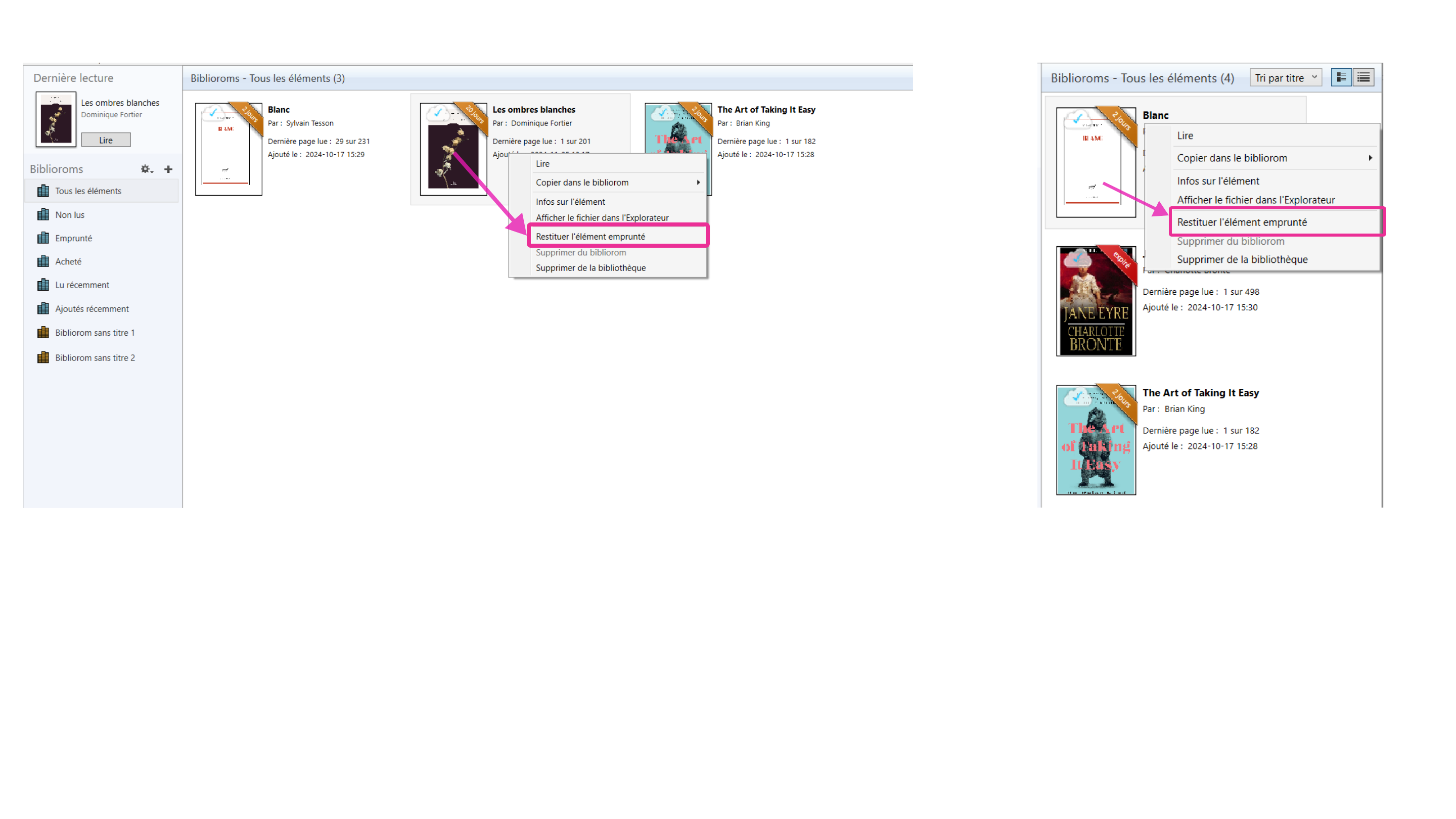 Exemple d’un retour effectué du logiciel Adobe Digital Editions
