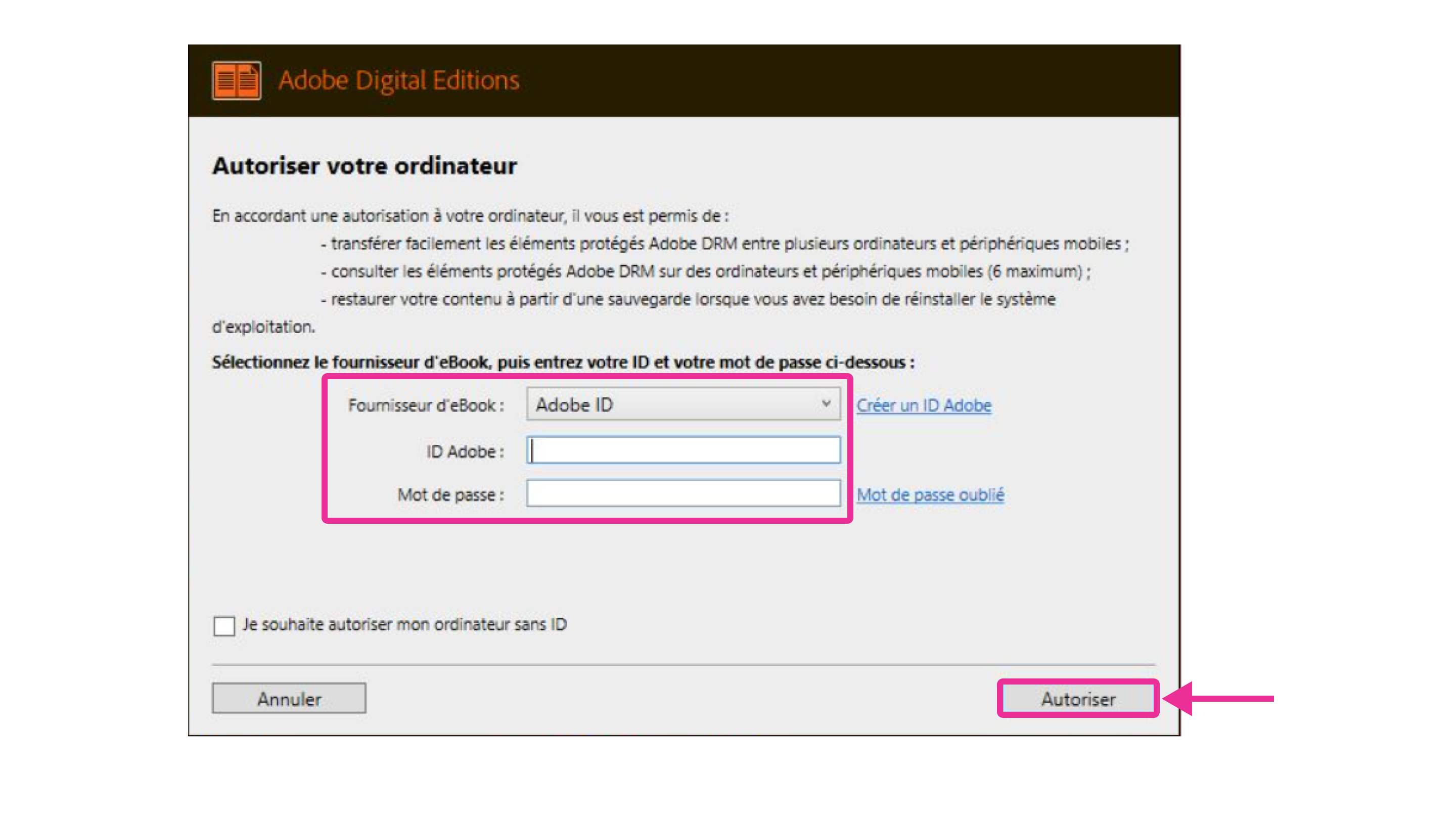 Autorisation de l’application