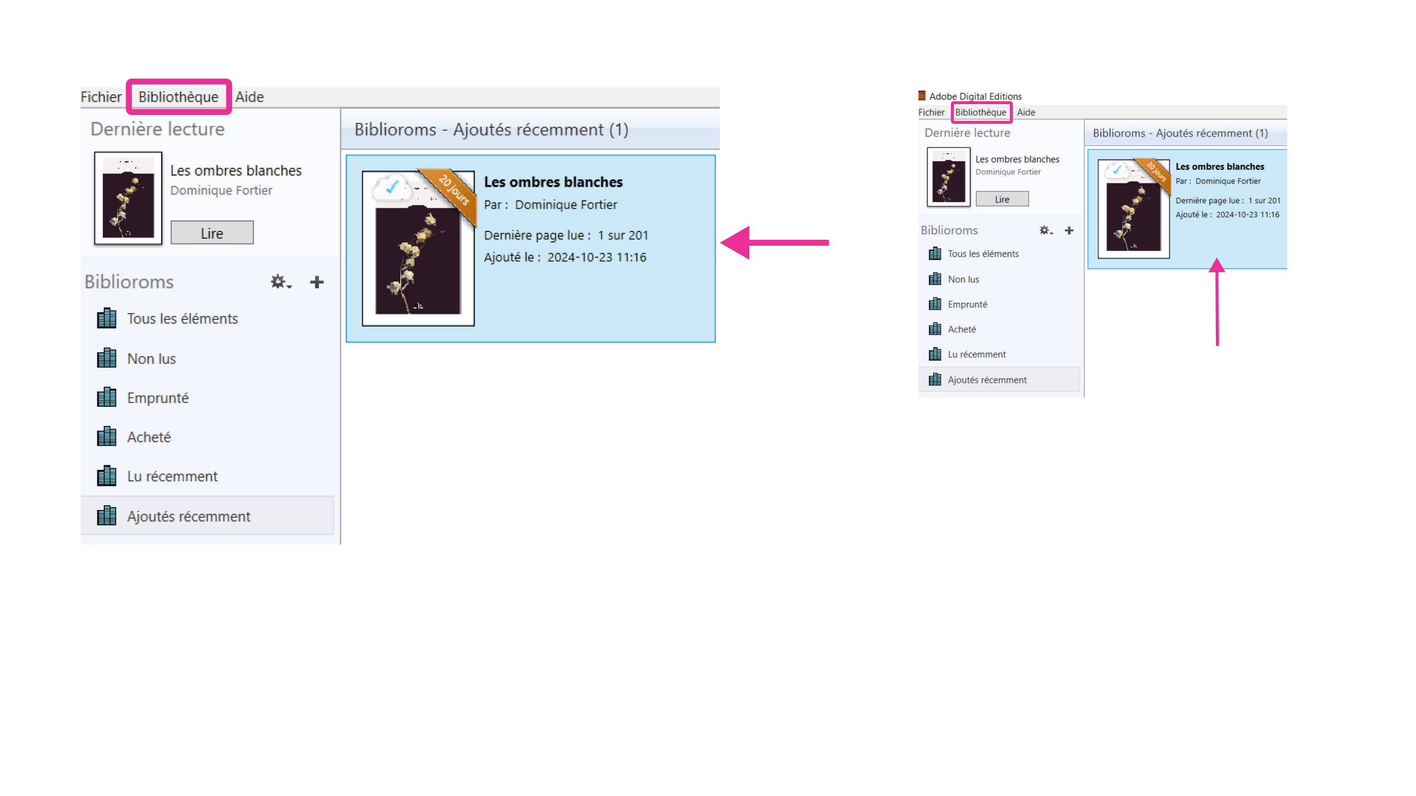Emprunt apparaissant dans la bibliothèque d’Adobe Digital Editions