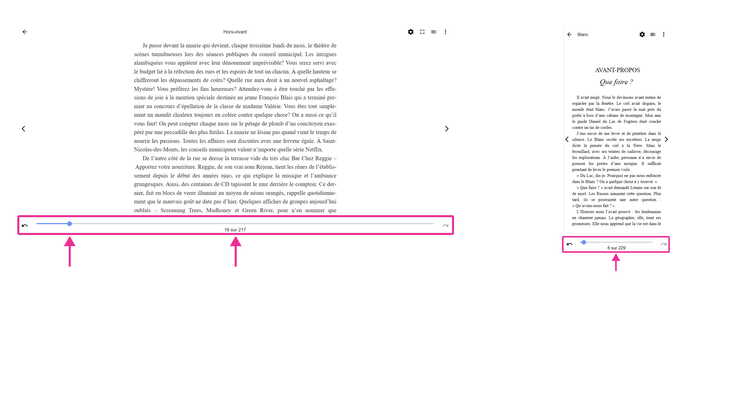 Affichage de la progression de lecture pour un livre de Pretnumerique