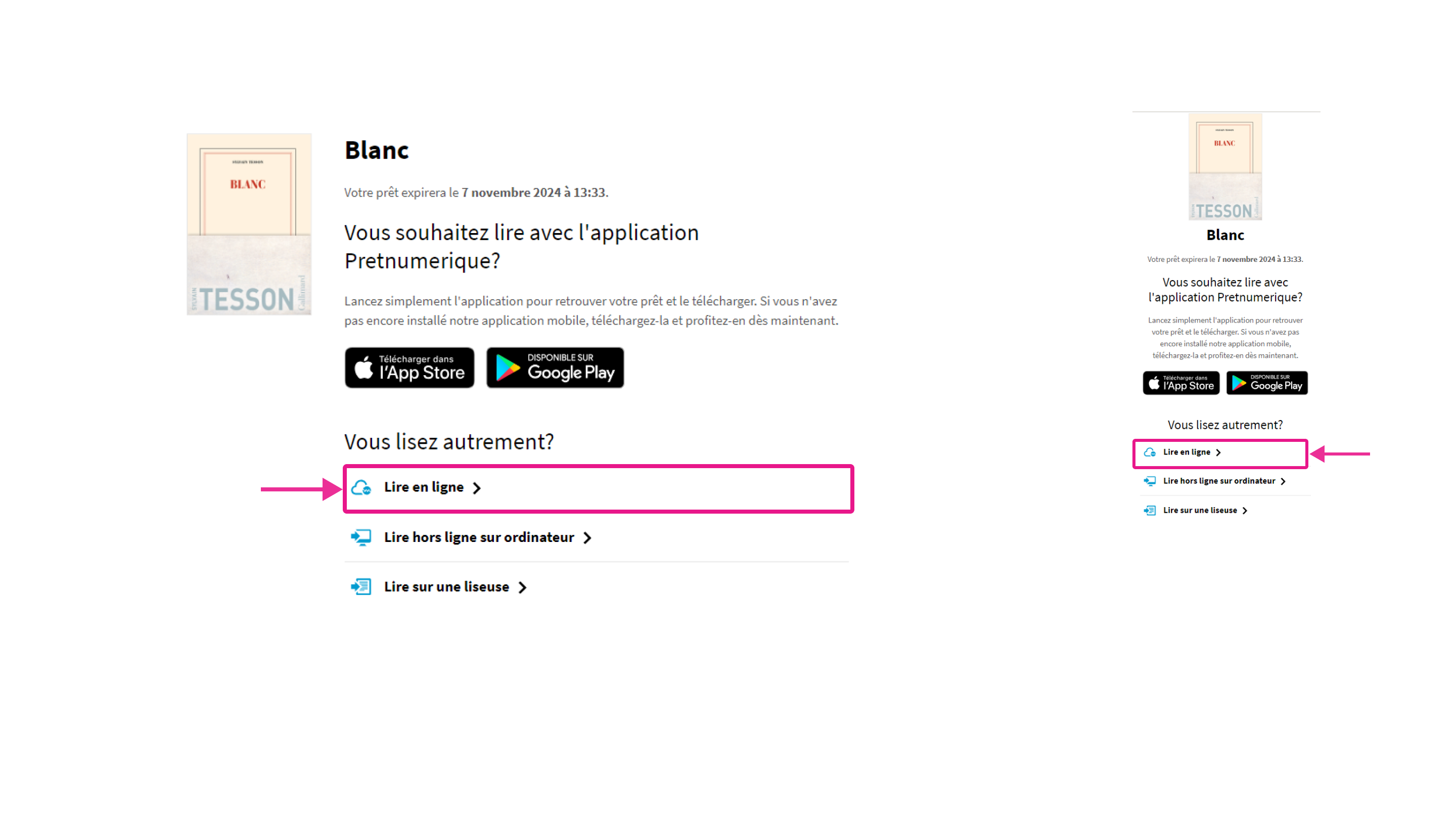 Option de lecture en ligne pour un livre de Pretnumerique.ca