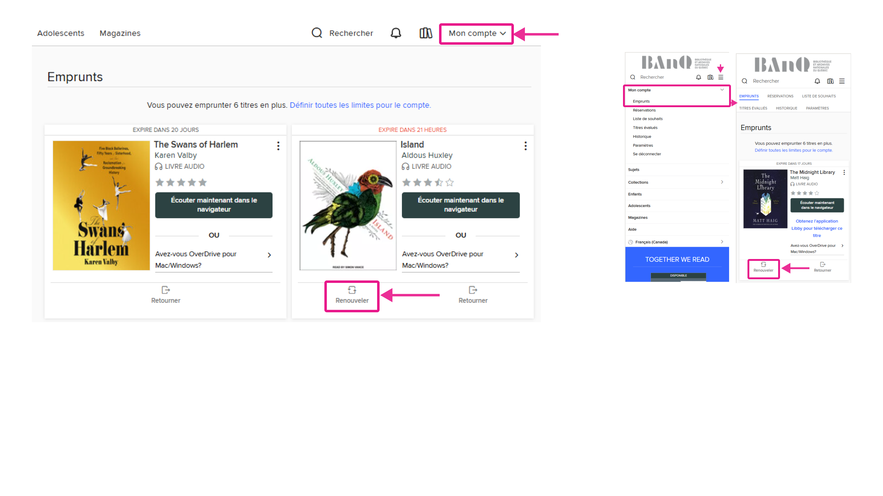 Exemple d’un renouvellement effectué de la plateformes OverDrive