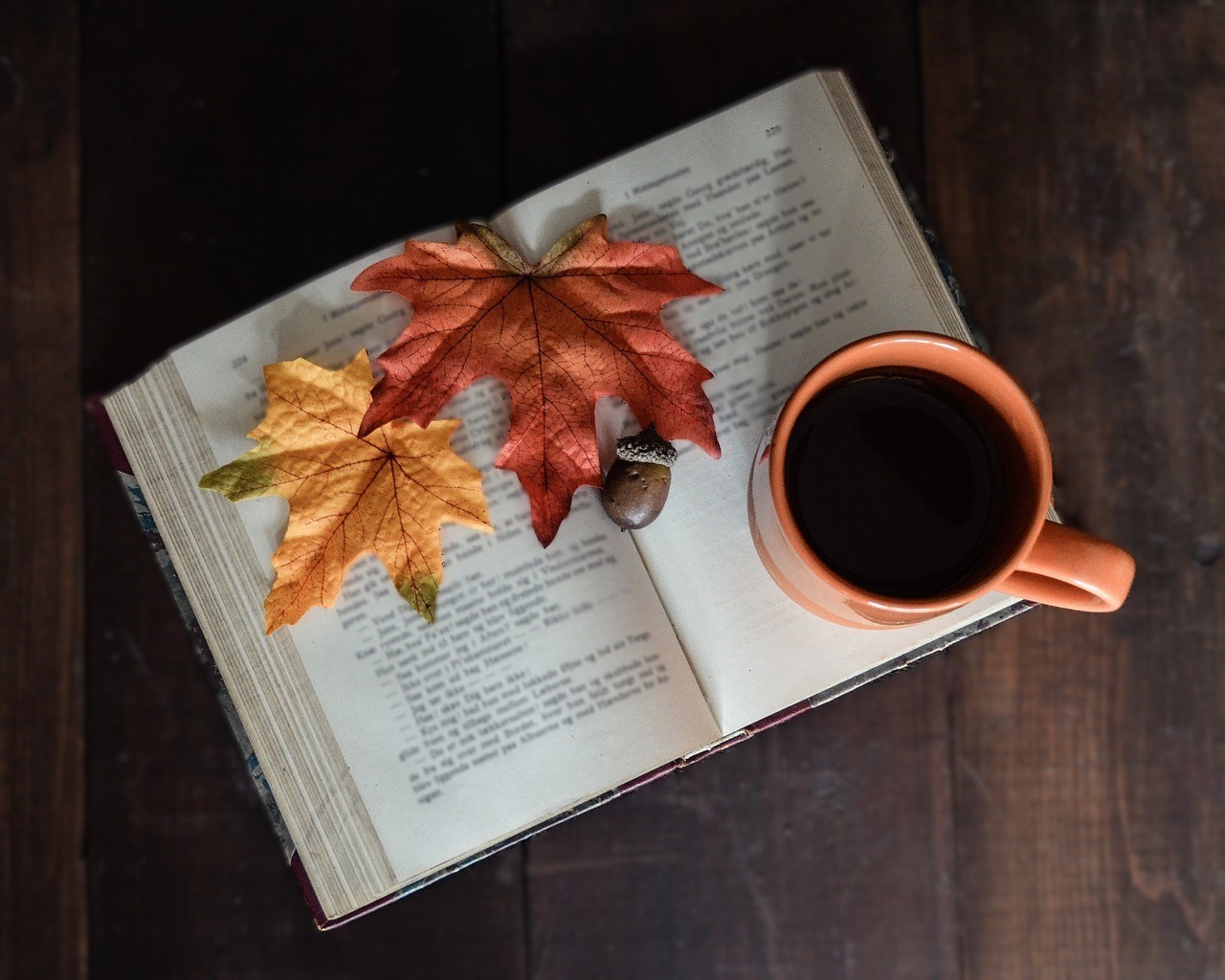 Livre ouvert sur lequel sont déposés des feuilles d'érable, une tasse de café et un gland