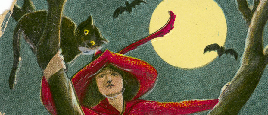 Une sorcière en robe rouge dans un arbre avec des chats