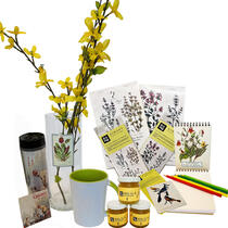 Rangement de printemps
